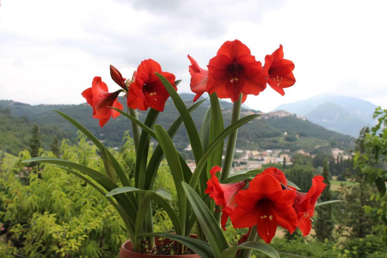 Il Castello Sul Lago Arrone Exterior foto
