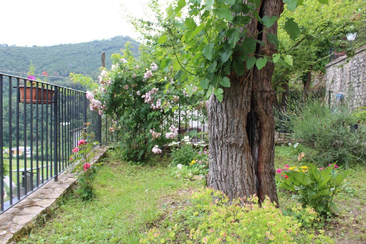 Il Castello Sul Lago Arrone Exterior foto